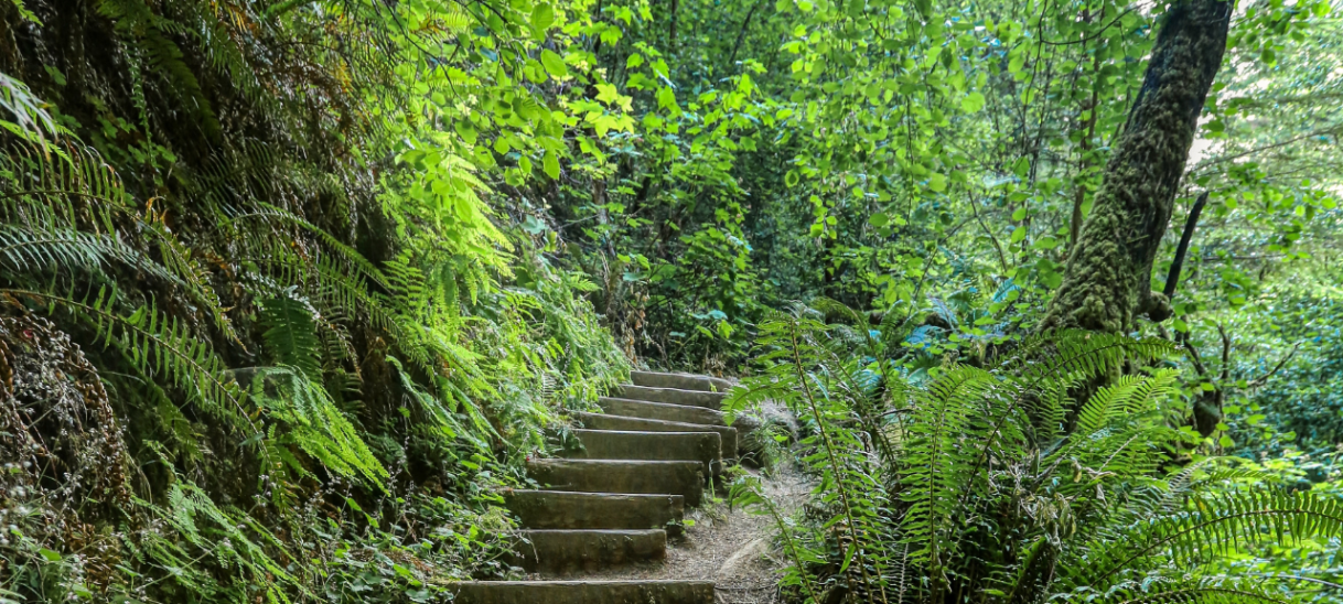 Marche Jai Jagat – Jeunes du 23 (soirée) au 28&nbsp;août