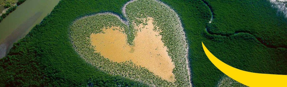 Exposition de Photographie